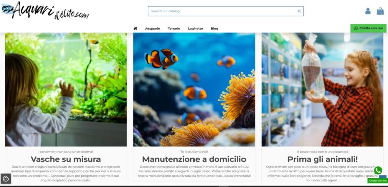 Acquaridelite categorie prodotto ecommerce sviluppato e ottimizzato da SeoMask
